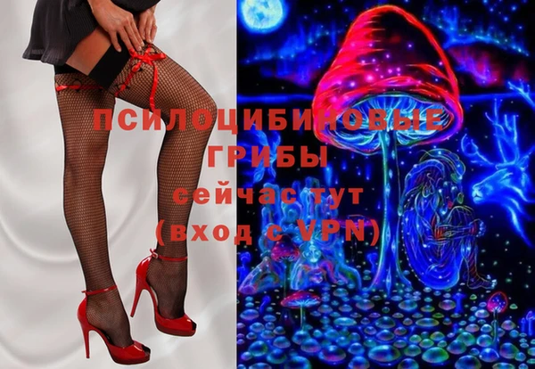 эйфоретик Арсеньев
