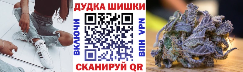 Каннабис план  кракен зеркало  Каргат  как найти наркотики 